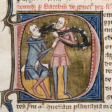 adonitologia wikipedia|Adonismus – Wikipedia.